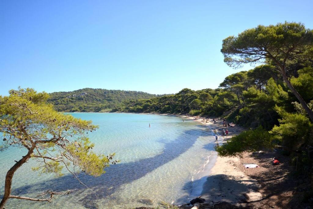 Studio Hyeres Port Et Iles D'Or. Zewnętrze zdjęcie
